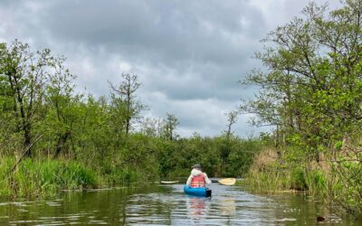 4 redenen waarom Rootzz kiest voor avontuur en natuur in Nederland